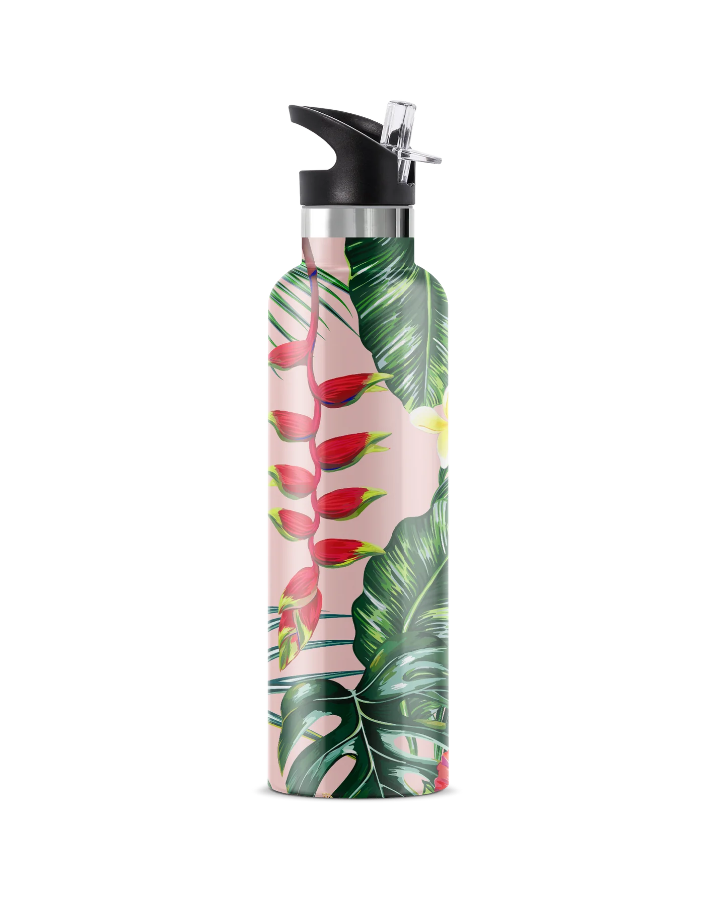 Bougie Bottle Insulated Water Bottle Flamingo Gift Set 25oz