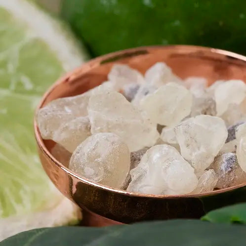 WHITE COPAL & BERGAMOT SOY WAX MELTS