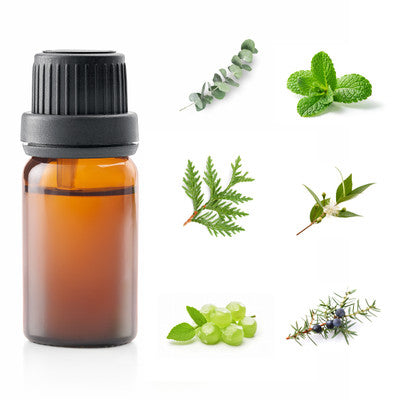 ESSENTIAL OIL BLEND BREATH 10ML 002