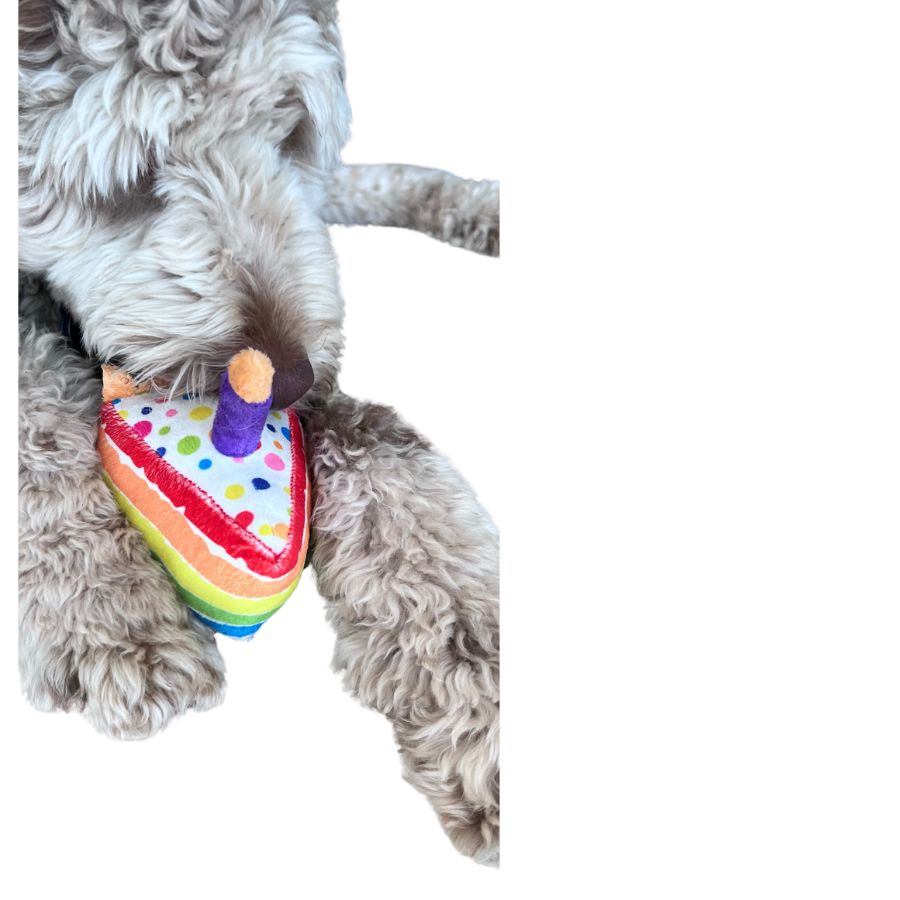 HAUTE DIGGITY DOG BIRTHDAY CAKE SLICE