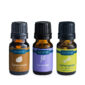 Rest & Relax Essential Oils Giftset, Cedarwood, lavender, lemongrass
