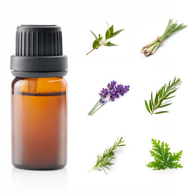 ESSENTIAL OIL BLEND PURIFICATION 10ML
